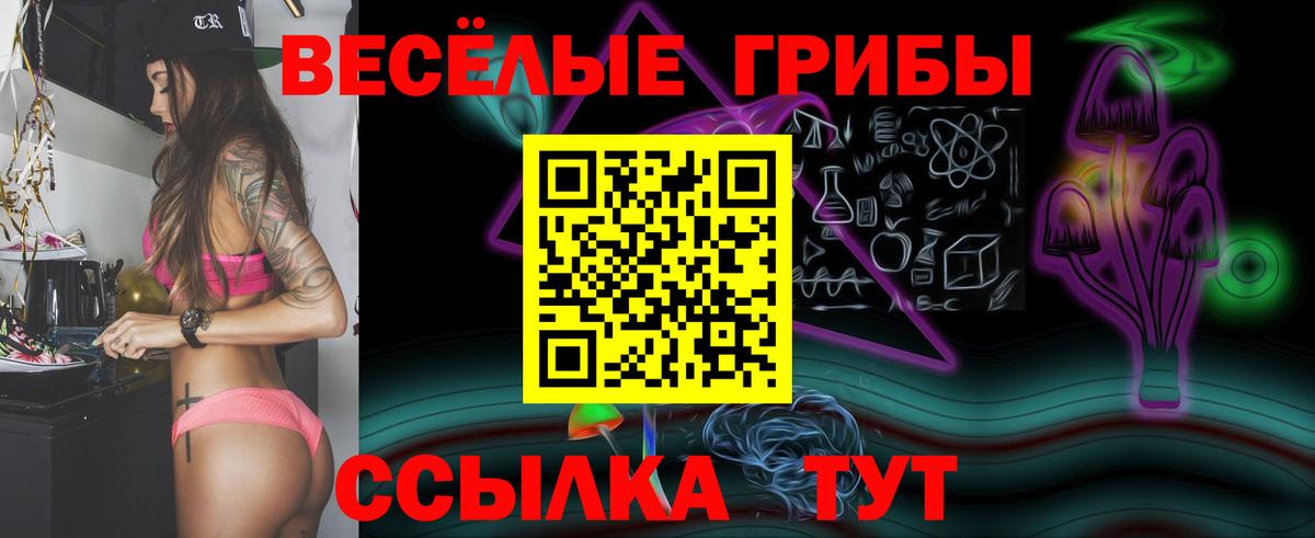 Галлюциногенные грибы Psilocybine cubensis  Вход с VPN  Мелеуз 